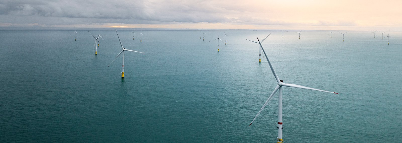 新能源 | 維斯塔斯獲得1.1吉瓦海上風電項目訂單；2025年全國能源工作會議在京召開