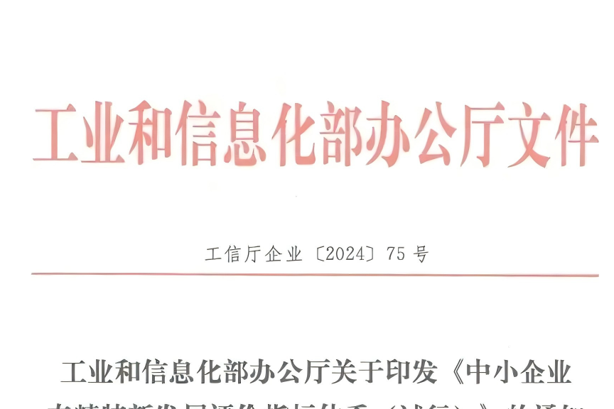 發(fā)揮行業(yè)優(yōu)勢，助力專精特新“小巨人”企業(yè)騰飛