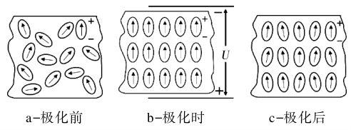 聚偏氟乙烯壓電薄膜技術(shù)與市場(chǎng)分析