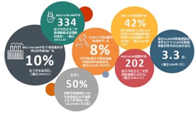 《ESG 信用報告：洞察企業可持續發展的新視角》