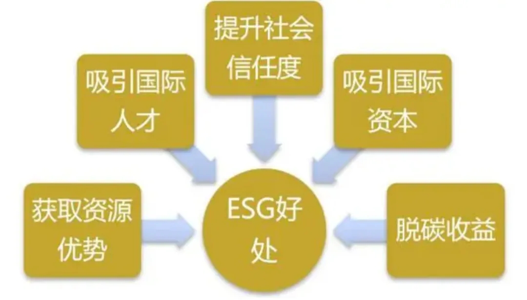 《ESG 信用報告：洞察企業可持續發展的新視角》
