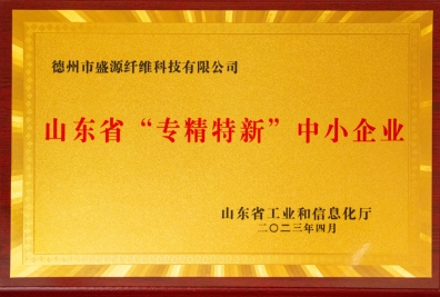 【會員風(fēng)采】德州市盛源纖維科技有限公司——十年櫛風(fēng)沐雨，披荊斬棘；十年勵精圖治，鑄就輝煌。