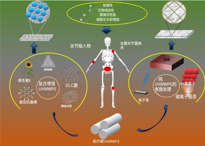 超高分子量聚乙烯在生物醫學應用中的性能與功能化綜述